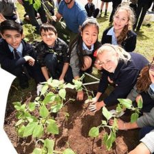 kids planting