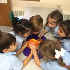kids explore pumpkin