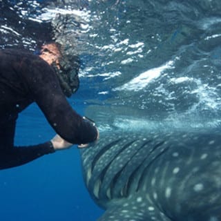 man with shark