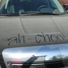 ah-choo dusty car