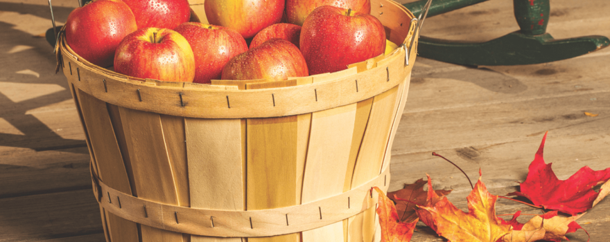 basket of apples