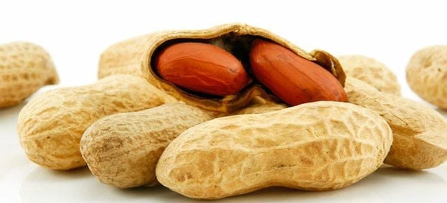 The Growing Problem of Peanut Allergies