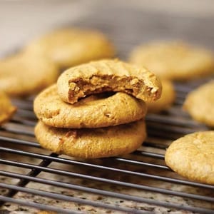 Pumpkin Spice Lactaction Cookies