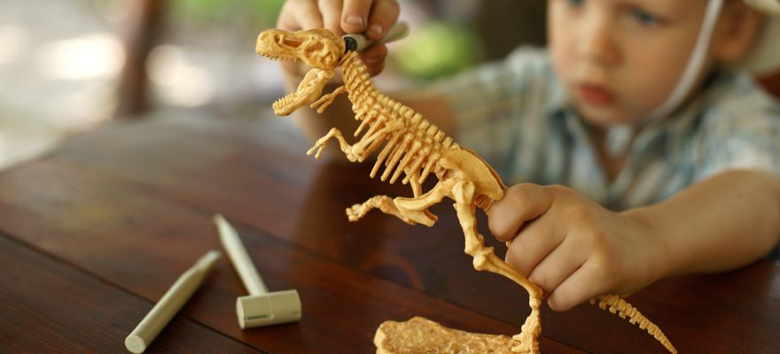 dinosaur obsession