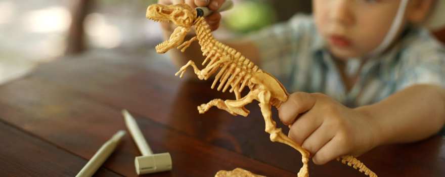 dinosaur obsession