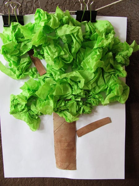 tissue tree picture