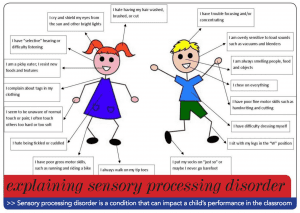 sensory processing chart