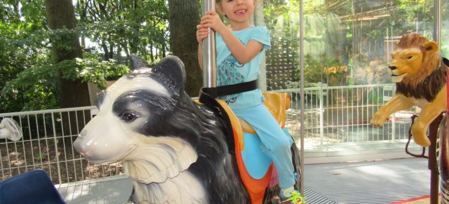Crazy for Carousels