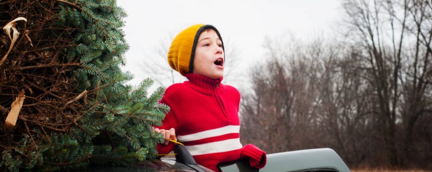 picking up christmas tree from farm