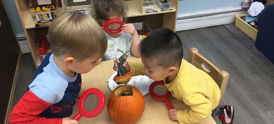 toddlers inspect pumpkin