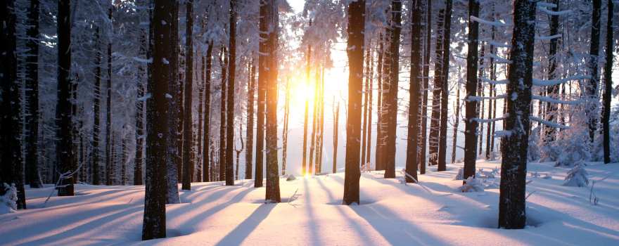 Winter