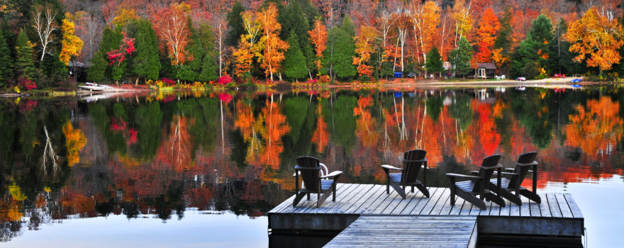 Fall by the lake