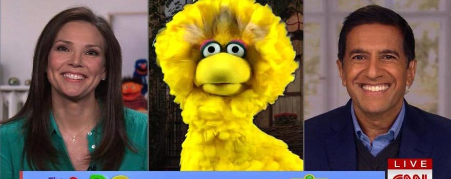 cnn with big bird