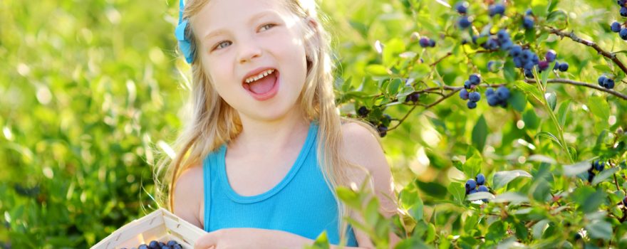 berry picking girl