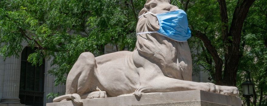 stone library lion with face mask