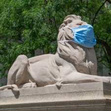 stone library lion with face mask