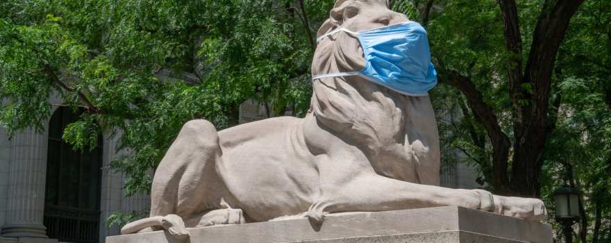 stone library lion with face mask