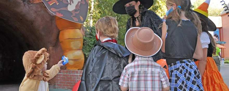 trick-or-treaters