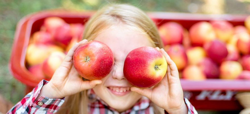 Where to Go Apple Picking Near Staten Island