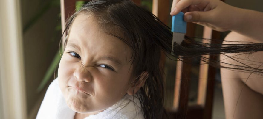 What Your Need to Know about Back-to-School Lice Prevention