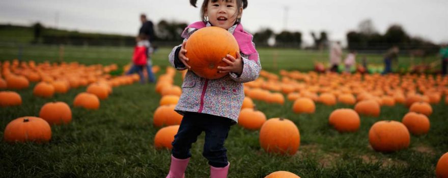 young girl picking pumpkin