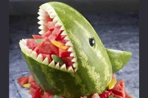 watermelon shark