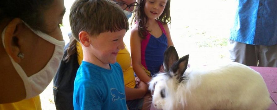 JCC Day Camp Kids with Bunny