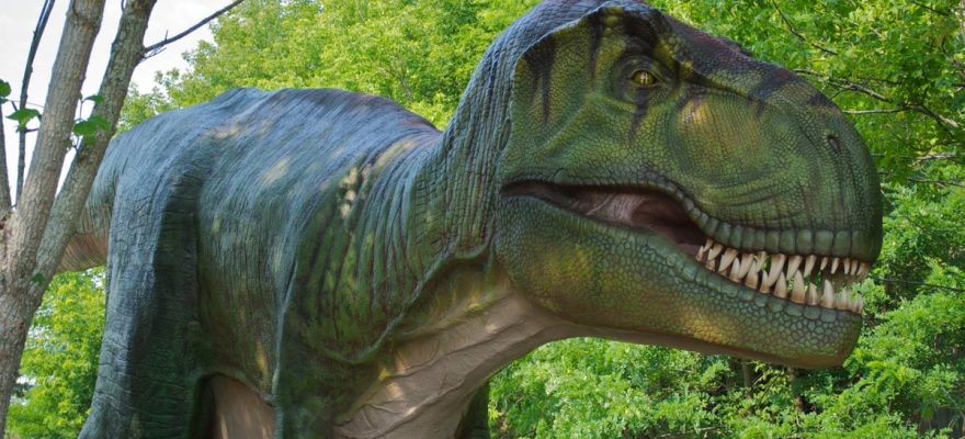 Dinosaurs Are Coming to Six Flags Great Adventure This Summer