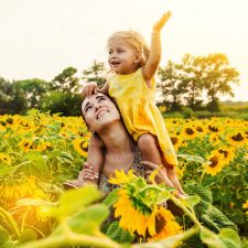 sunflower mazes in nj near staten island