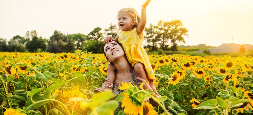 Your Family Will Love These 4 Sunflower Mazes Near Staten Island