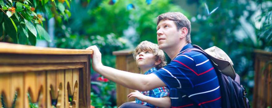 father and son looking at a tree