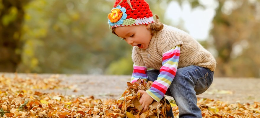 Fall Festivals & Activities in Staten Island