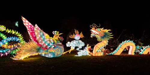 nyc lantern festival's christmas lights on staten island