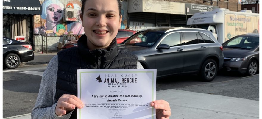 Sweets to the Rescue: Island Teen Raises Money to Help Animals