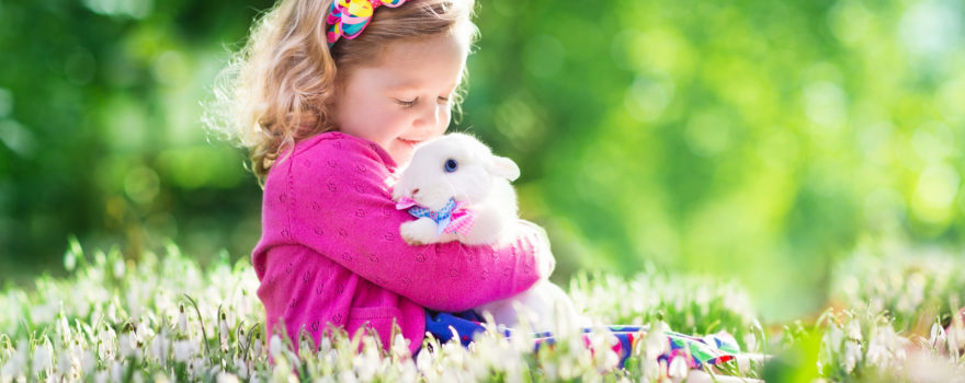Little girl holding real bunny