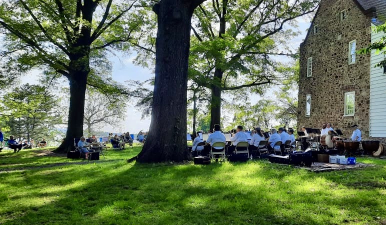 people at an outdoor concert