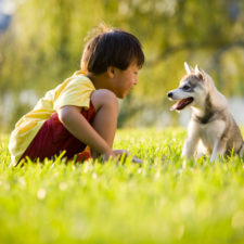 young boy with puppy in the grass
