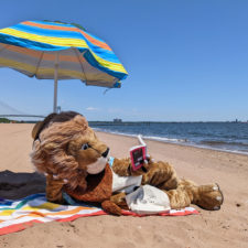 human in lion costume reading on the beach