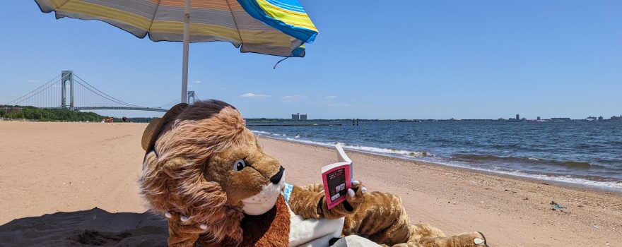 human in lion costume reading on the beach
