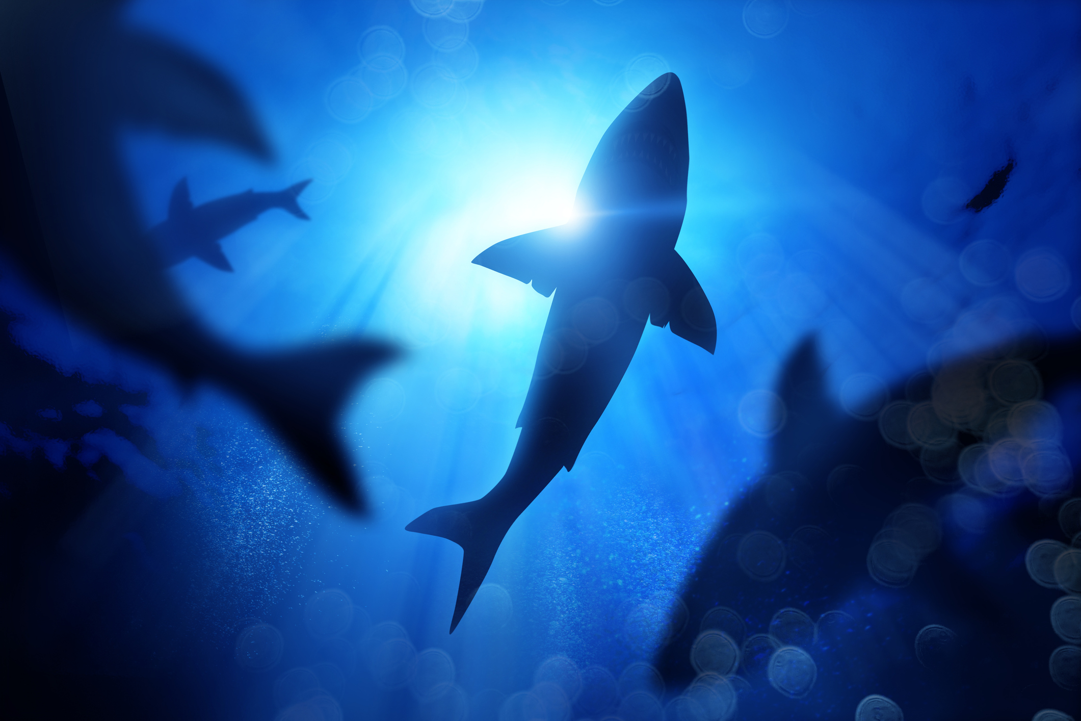 New & Revised Sharks: Celebrate Shark Week with the Ocean's Apex Predators!  : r/DnDHomebrew