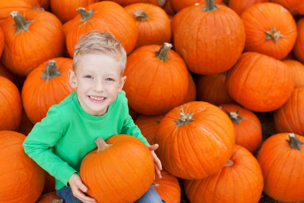 Where to Go Pumpkin Picking in Staten Island & NJ SIParent