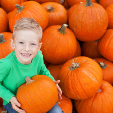 little boy with blond hair surrounded by pumpkins, similar to ones found when people go pumpkin picking in Staten Island and nearby