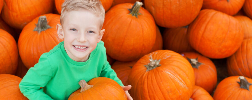 little boy with blond hair surrounded by pumpkins, similar to ones found when people go pumpkin picking in Staten Island and nearby