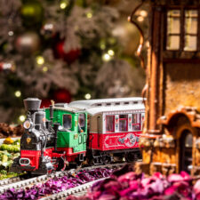 small model train at the New York Botanical Garden train show