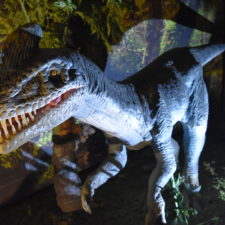 Jurassic Quest dinosaur-themed show.