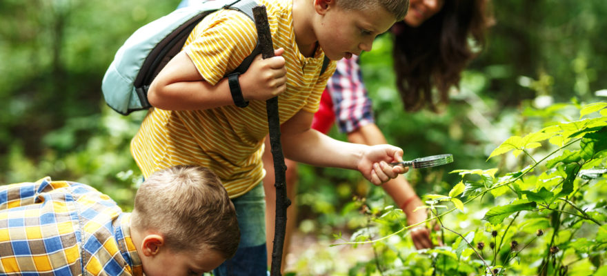 Nature Lover Organizes Hikes for Families on Staten Island