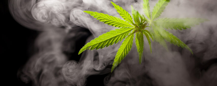 Marijuana leaf surrounded by smoke
