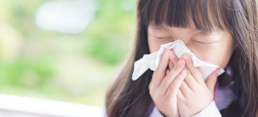 Worst Cities for Allergies in 2023: How did NYC Stack Up?