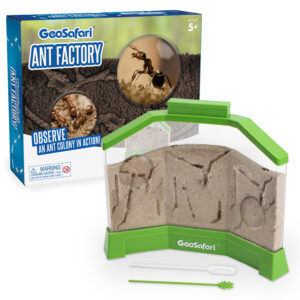 An ant colony set.