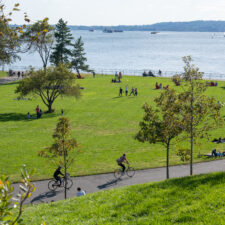 Photo of summer at Governors Island showing people riding bikes during the day.